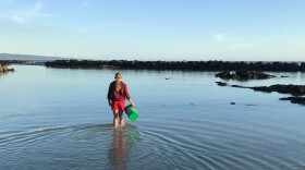 UH Hilo researcher Maria Steadmon collects water at Onekahakaha Beach Park.