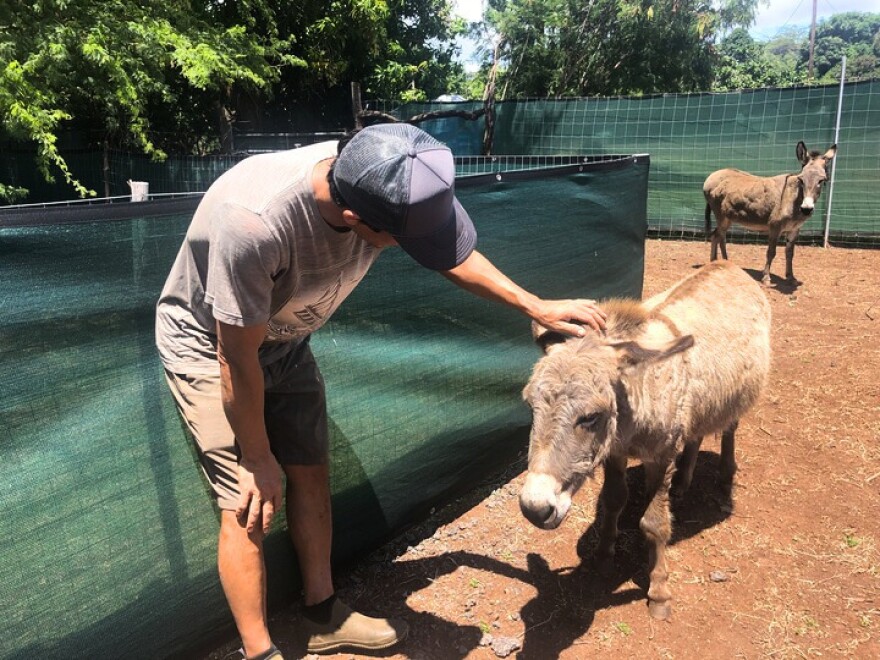 Yamashita with Maya the miniature donkey.