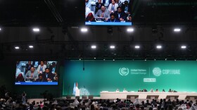 Anne Rasmussen, Samoa lead negotiator, speaks during a plenary session at the COP28 U.N. Climate Summit, Wednesday, Dec. 13, 2023, in Dubai, United Arab Emirates.