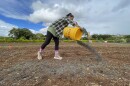 A group from a Hawai‘i-based company are using invasive plant biomass to make fertilizer that would go to local farmers and plant nurseries.