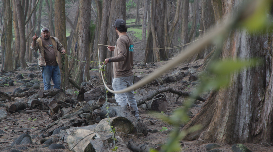 Kohala community members drape a 1,200-foot long ti-leaf lei across Pololū Valley on the north side of Hawaiʻi Island.