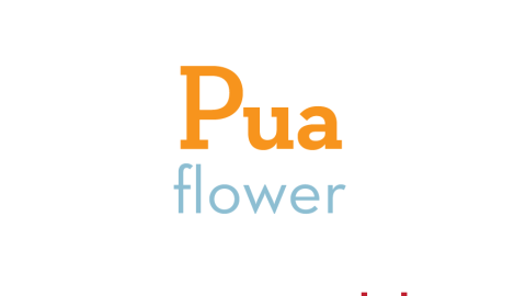 Pua is a very well known and often used Hawaiian word. In common usage it means: flower, blossom, even the tassel and stem of sugar cane. It means to bloom, and among its many other meanings is child, descendant, offspring.