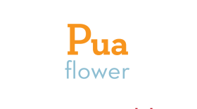 Pua is a very well known and often used Hawaiian word. In common usage it means: flower, blossom, even the tassel and stem of sugar cane. It means to bloom, and among its many other meanings is child, descendant, offspring.