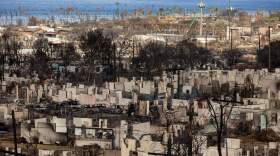 Burned buildings are pictured in the aftermath of the Maui wildfires in Lahaina, Hawaii.