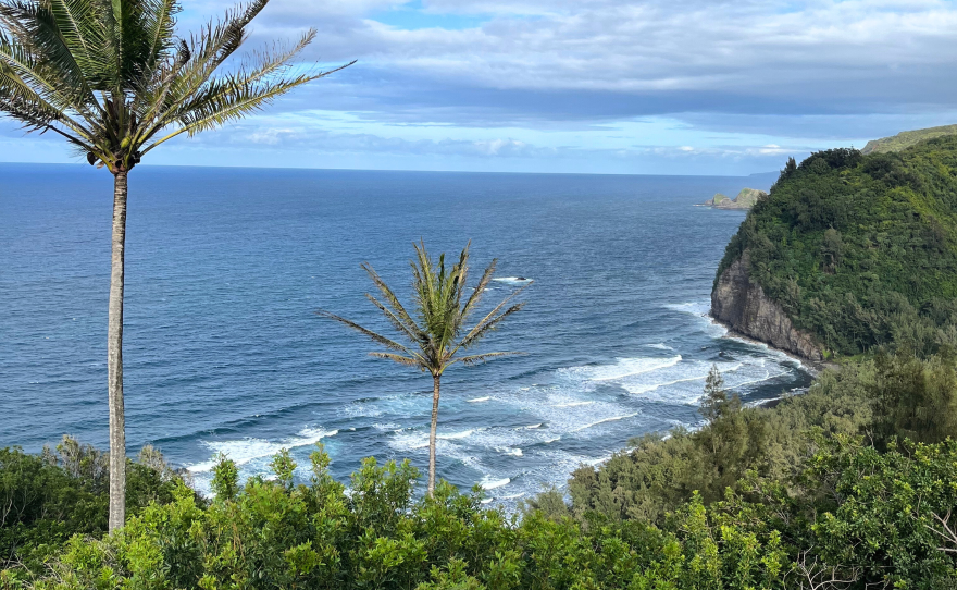 The view of the Pololū Valley shoreline from the lookout.