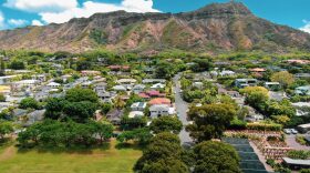 Aerial photograph of Diamond Head and trees in the surrounding neighborhoods