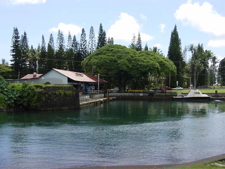 Wailoa Small Boat Harbor in Hilo