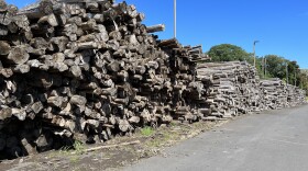 A wood pile at Honua Ola Bioenergy plant in Pepeʻekeo.