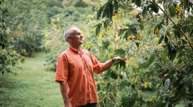 Jean Orlowski is the co-owner of Hala Tree, a local farm and roastery that specializes in 100% Kona coffee.