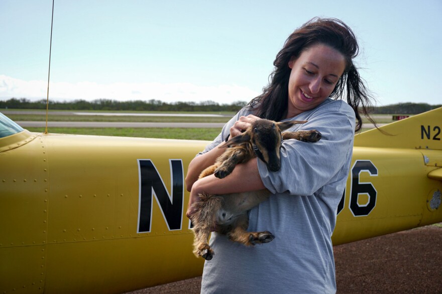 Tessa Coulter with a goat outside her little yellow Cessna 150 airplane