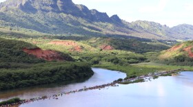 About 2,000 people build the rock wall at the Alakoko fishpond near Līhuʻe during a Mālama Hulē'ia workday. (Oct. 21, 2023)