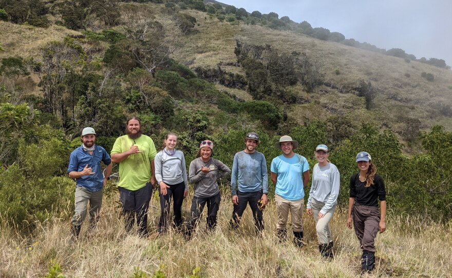 Group photo of volunteer tree-planting team near the gulch where Zach Pezzillo (far left,) first discovered and whistled back to MAPA1, Nakula 2021