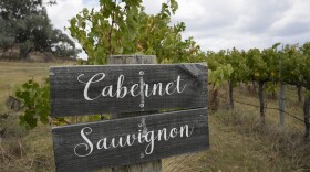 A vineyard in the wine growing area of Mudgee in western New South Wales, Australia, Saturday, March 4, 2023. (AP Photo/Mark Baker)