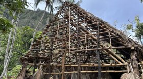 Traditional Hawaiian house or hale construction.