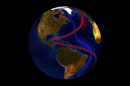 The global conveyor belt, shown in part here, circulates cool subsurface water and warm surface water throughout the world. The Atlantic Meridional Overturning Circulation is part of this complex system of global ocean currents.