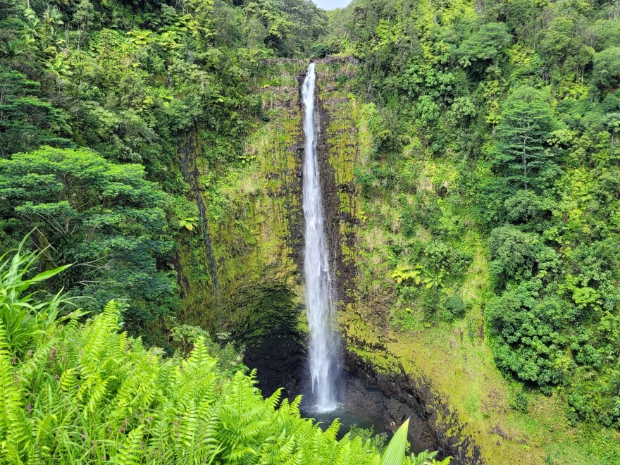 Akaka Falls State Park along the Hāmākua Coast of Hawaiʻi Island is spread across 65 acres and includes two waterfalls.