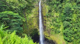 Akaka Falls State Park along the Hāmākua Coast of Hawaiʻi Island is spread across 65 acres and includes two waterfalls.