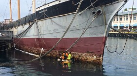 Workers at Falls of Clyde in 2019.