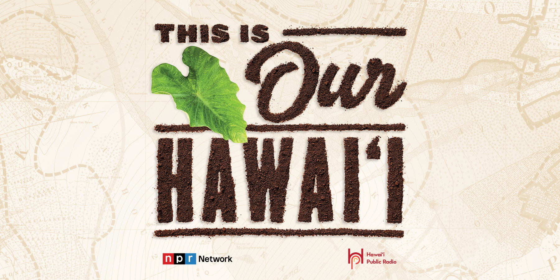 this is our hawaii logo